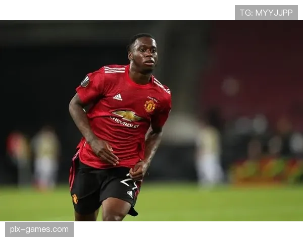 洛塞尔索本赛季进球数据持续提升，进攻端表现稳健