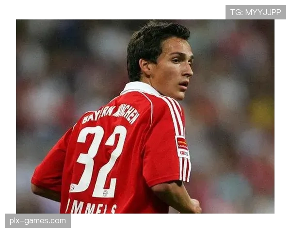 琼阿梅尼与费尔南迪尼奥：防守经验的结构性差异与传承分析